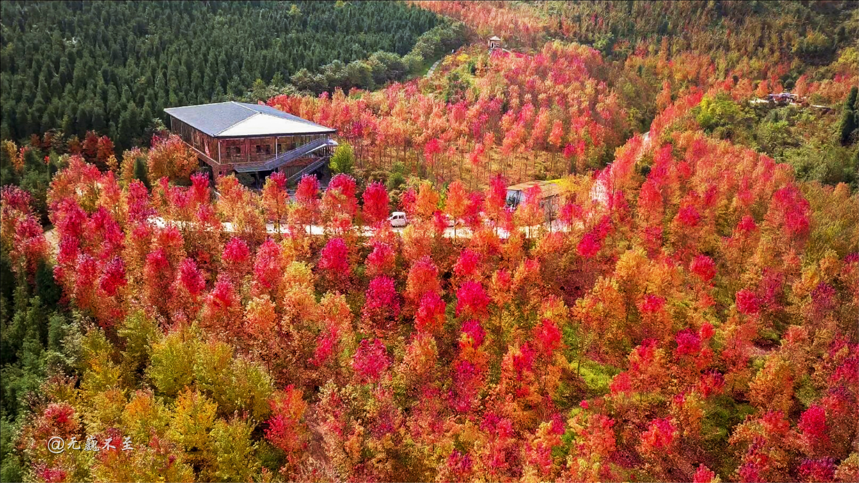 秋染蓥华山,枫醉红枫岭,这个秋天绝不辜负