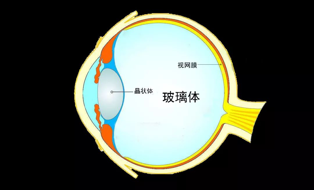 视网膜光镜图红蓝铅笔图片