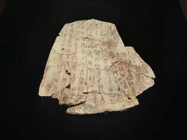 制作于商王武丁时期,是距今年代最久远的甲骨卜辞