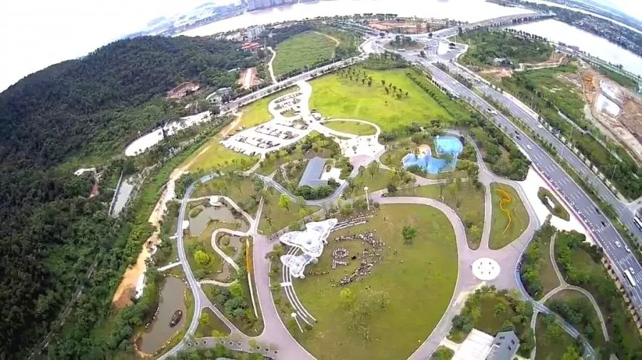斗门市民公园游玩时近日发现,不少街坊在除了黄杨山▲【视频中部分