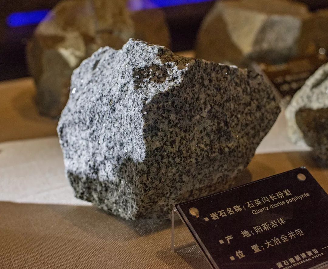 去地质博物馆穿越时光隧道这些好玩的项目不容错过