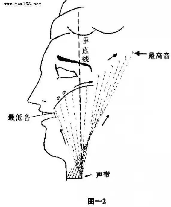 唱歌表情动作教学图片