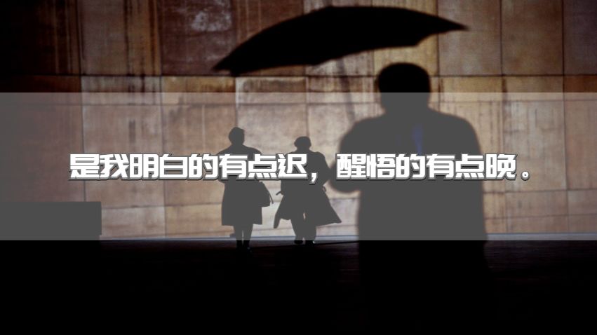 把一言难尽都一饮而尽