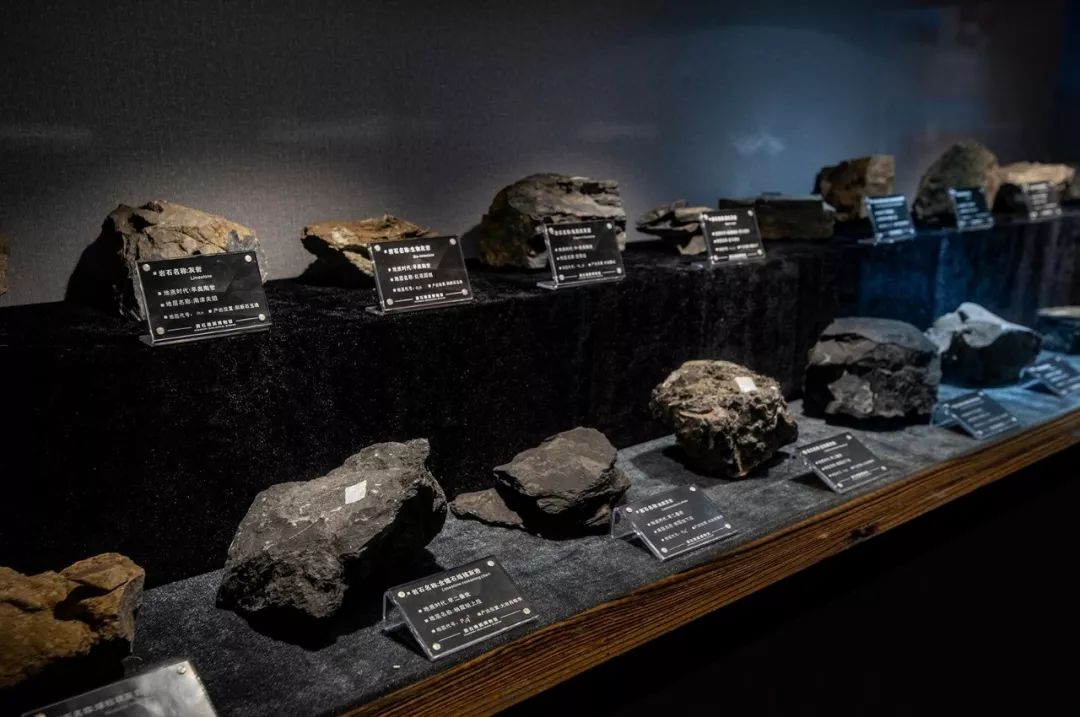 去地质博物馆穿越时光隧道这些好玩的项目不容错过