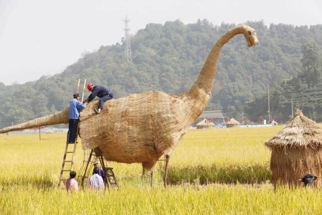 原创稻田艺术稻田农耕稻田音乐稻田美食稻田你想要的稻田都在这里