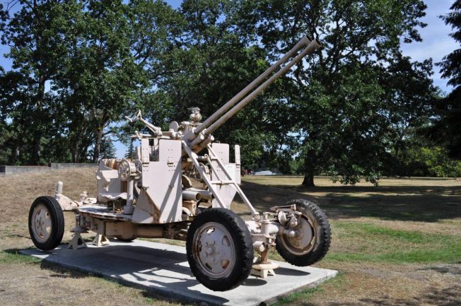 除了63式自行高炮外,该型战车还有一种说法,称之为65式自行高 