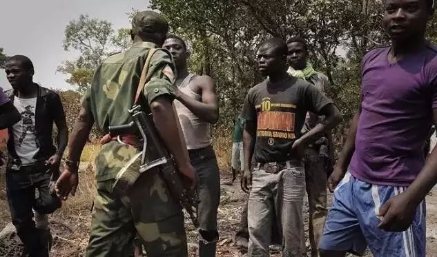 带血的木头揭秘赞比亚紫檀背后的辛酸故事