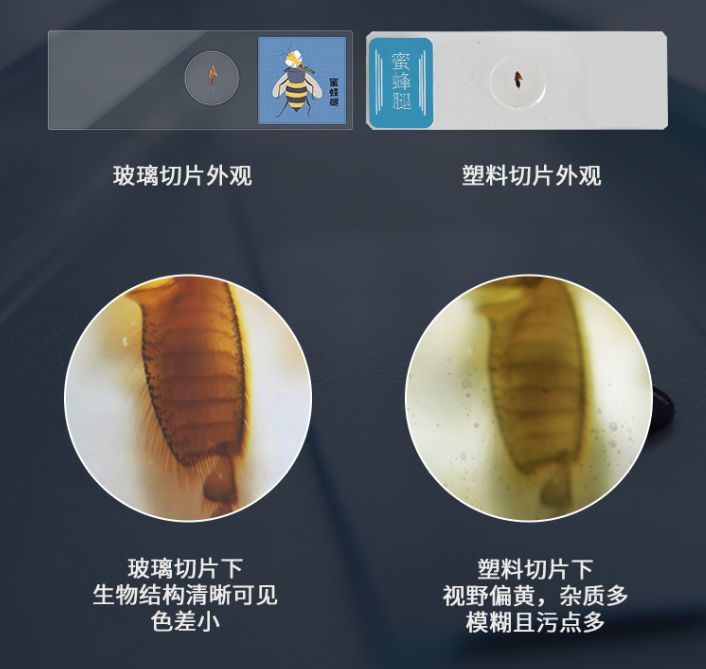 显微镜,10片玻璃昆虫切片,1本科普绘本&说明书,1管可以孵化的丰年虾卵