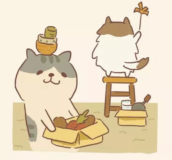 这里的猫真的好可爱,忍不住每天都去看它!_客人