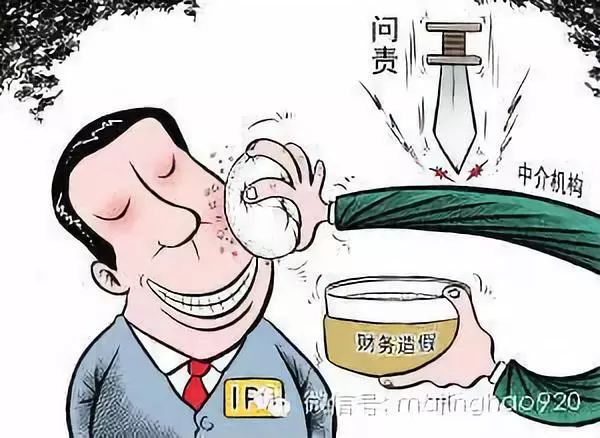 为什么会计师事务所从没主动发现过上市公司造假?_审计