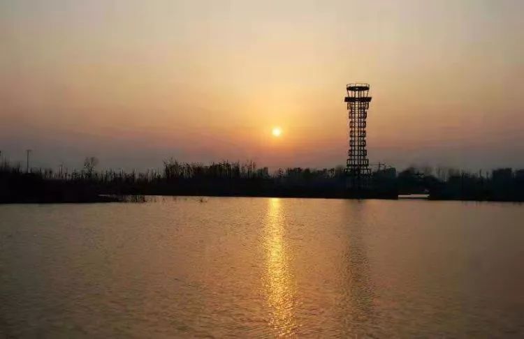 【聚焦】融媒拍客团|感受定陶秋天的美