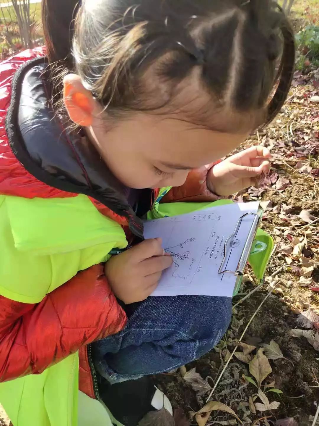 走走走走走我们一同去郊游沐浴着清新的空气孩子们像一只只欢乐