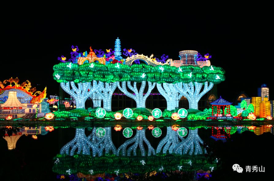 青秀山东区秋日狂欢已开启,白天赏花晚上赏灯,赶紧出发吧!_灯展
