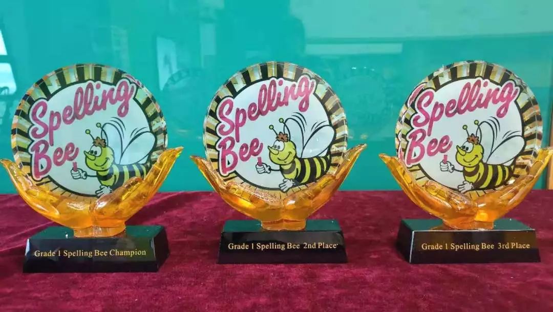 常州威雅公学小学部单词拼写大赛spellingbee