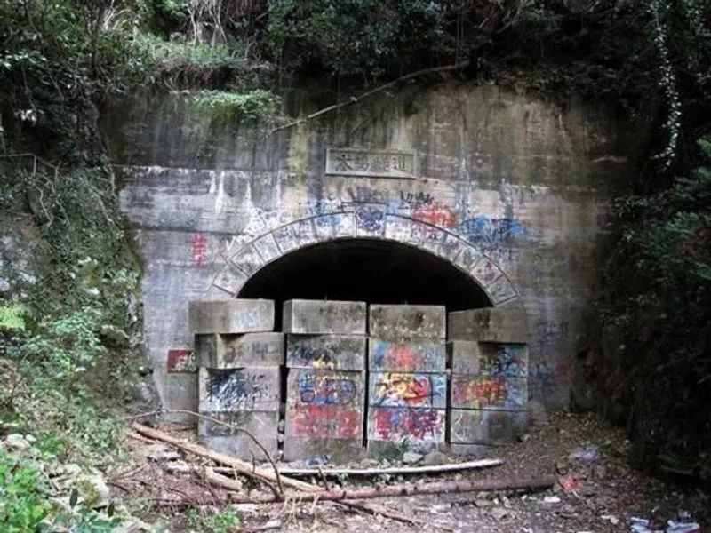 《咒怨》导演新作!《犬鸣村》改编超凶灵异景点 「日本最恐怖隧道」