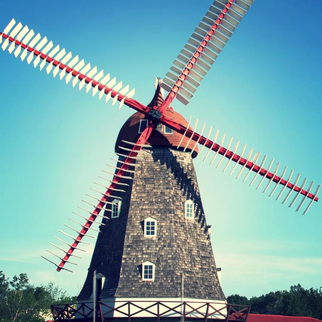 心田等风来世界最美风车各有撩拨