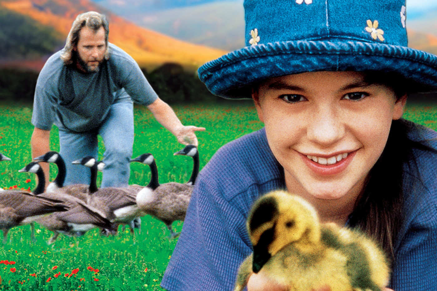 百部儿童电影推存六伴你高飞flyawayhome1996