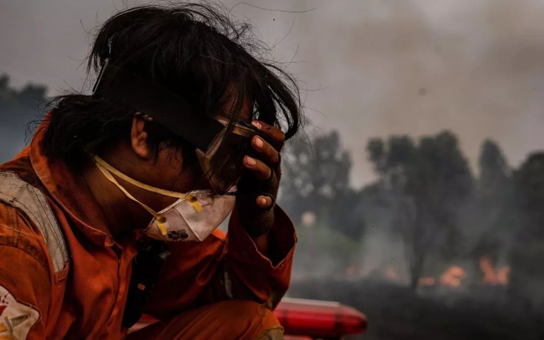 珍爱森林 防火于未"燃"_火灾
