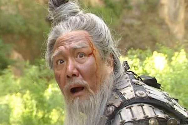 黄忠率部发动袭击,将镇守此山的曹魏将领杜袭击败,从而占领此山,为下