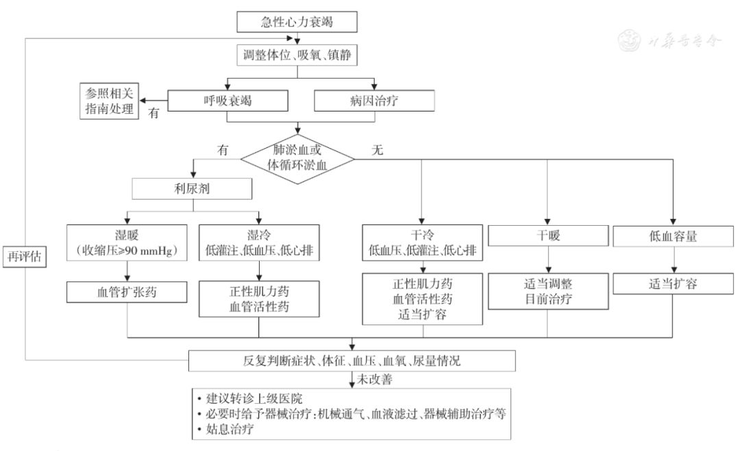 急性心力衰竭思维导图图片