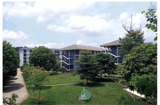 中考成绩 2019年中考,博雅初中取得了总分平均分大南宁地区(南宁市