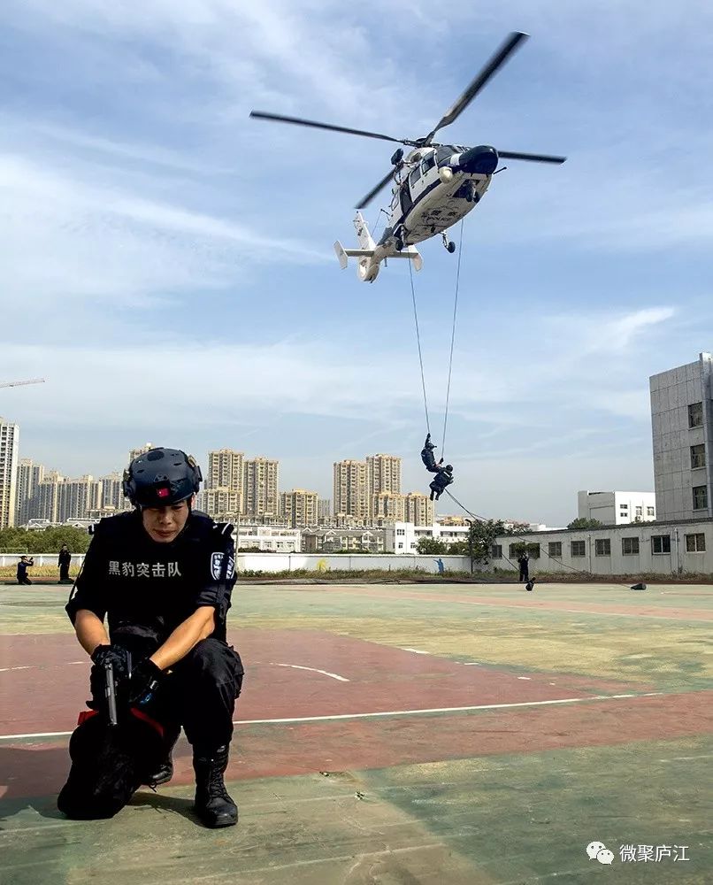 庐江,特警空降成功"排爆"_演练