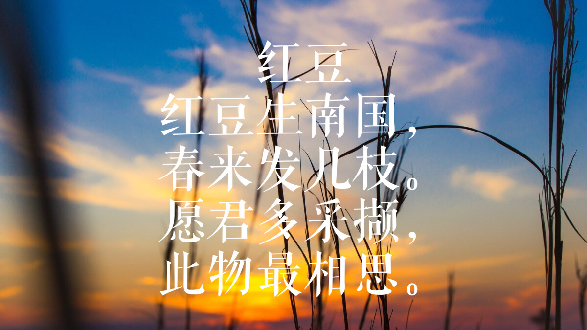 《九月九日忆山东兄弟》独在异乡为异客,每逢佳节倍思亲.