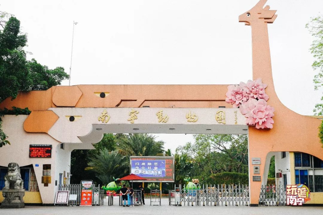 公告來了!南寧動物園門票5折優惠,時間持續到……趕緊去玩!