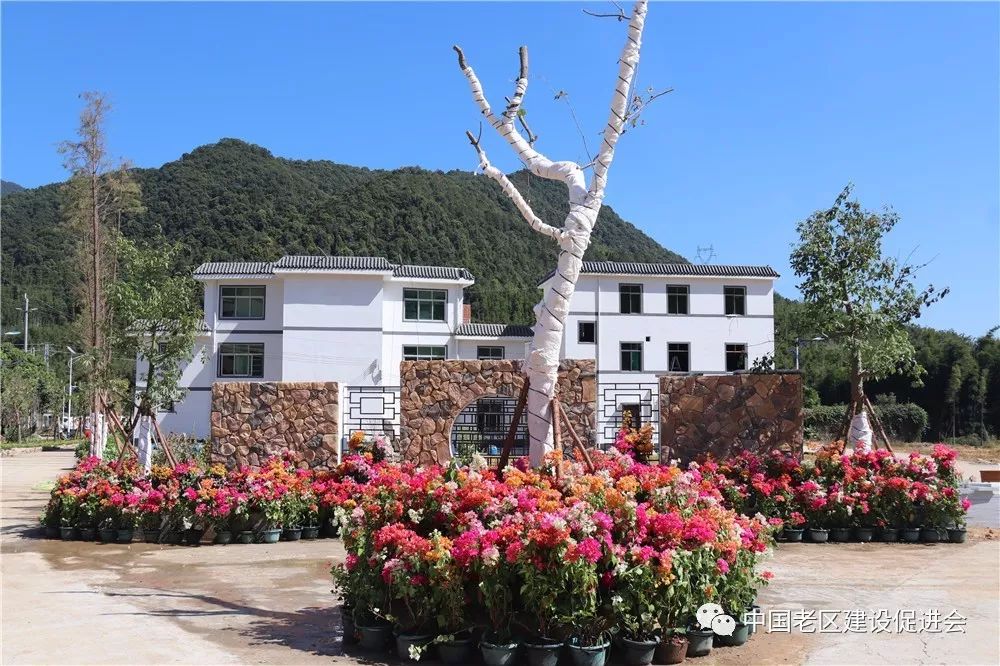新丰高桥村紧抓连片建设发展契机 建设宜居宜游宜养美丽乡村