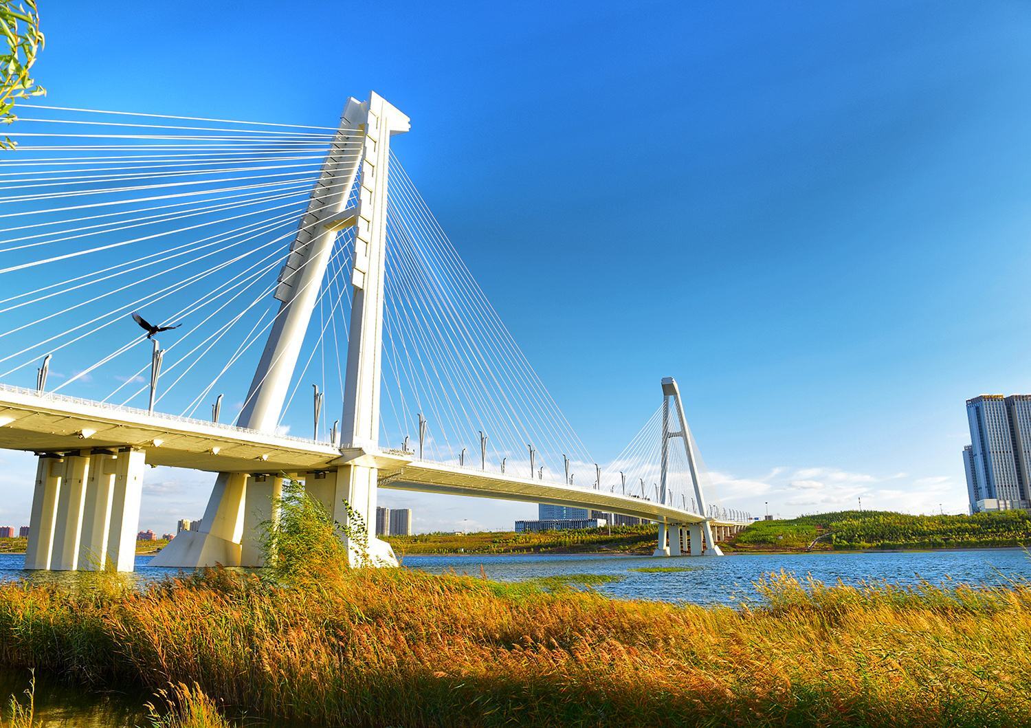 鄂尔多斯一座四线城市,竟然是内蒙古人民"最富有"的城市 _康巴什