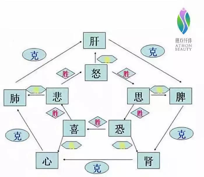 七情对于人体健康的影响_关系