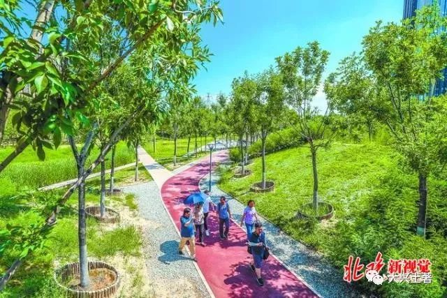 森林港湾值得逛,能饱口福的不只是西瓜_大兴机场