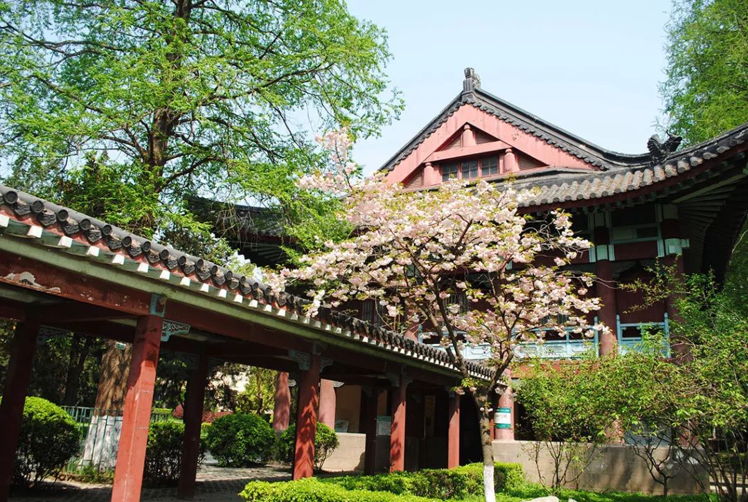 春去秋来这里有你眼中的最美南师