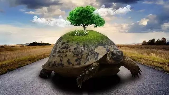 什么都不在乎,有一个宽广的胸襟,这样才能做到与世无争,淡泊名利