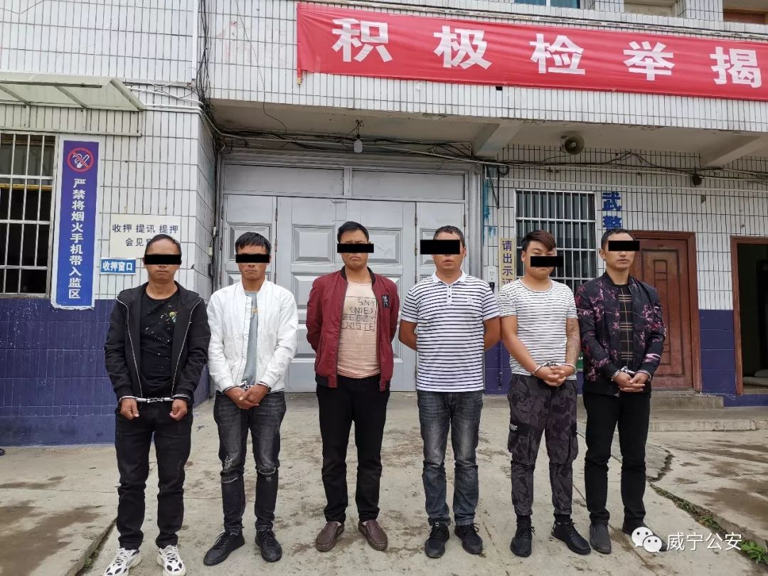 肥猪生意交流这伙诈骗犯被威宁公安给抓了