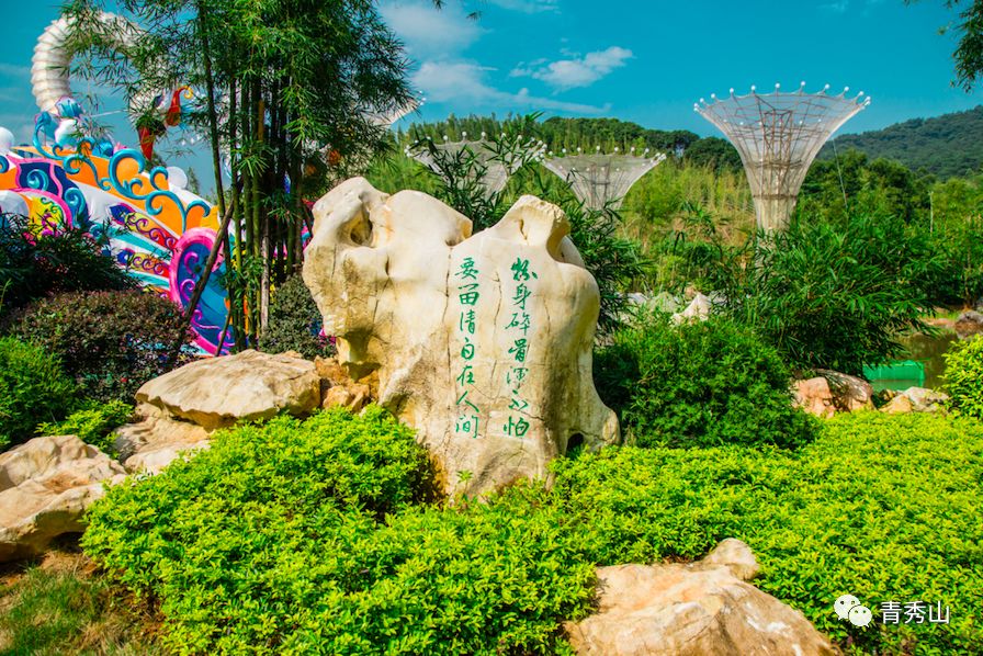 南宁又一个新晋网红拍照圣地市区藏了超美的小花园少女心爆棚地铁直达