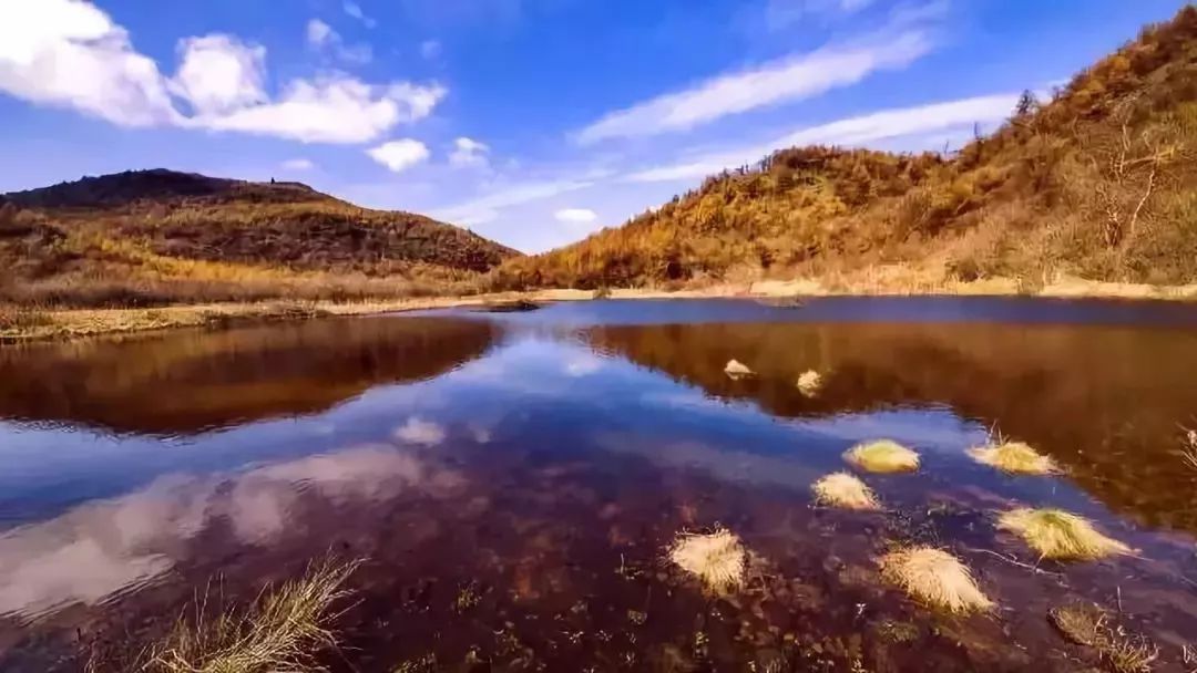 為鄉村旅遊發展注入綠色動力~快來為興隆鎮與龍橋河投票!