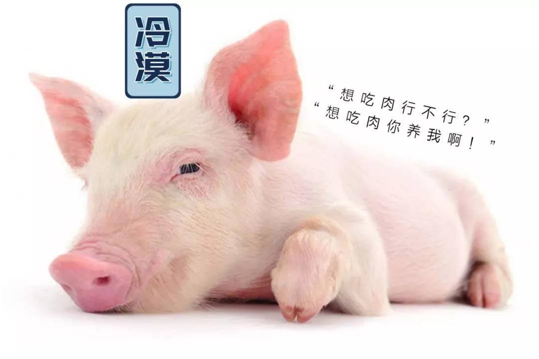 肉价猛涨,为什么他们可以大口吃肉?大口喝酒?