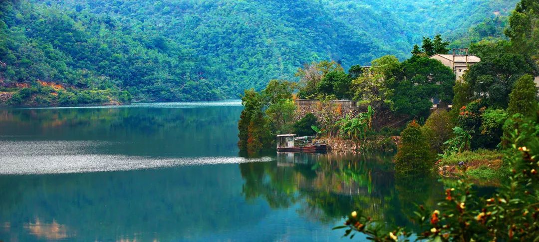 满庭芳·小鸟天堂张文宇(广东开平)榕荫千巢,凤凰栖地,傲沙洲衍成林.