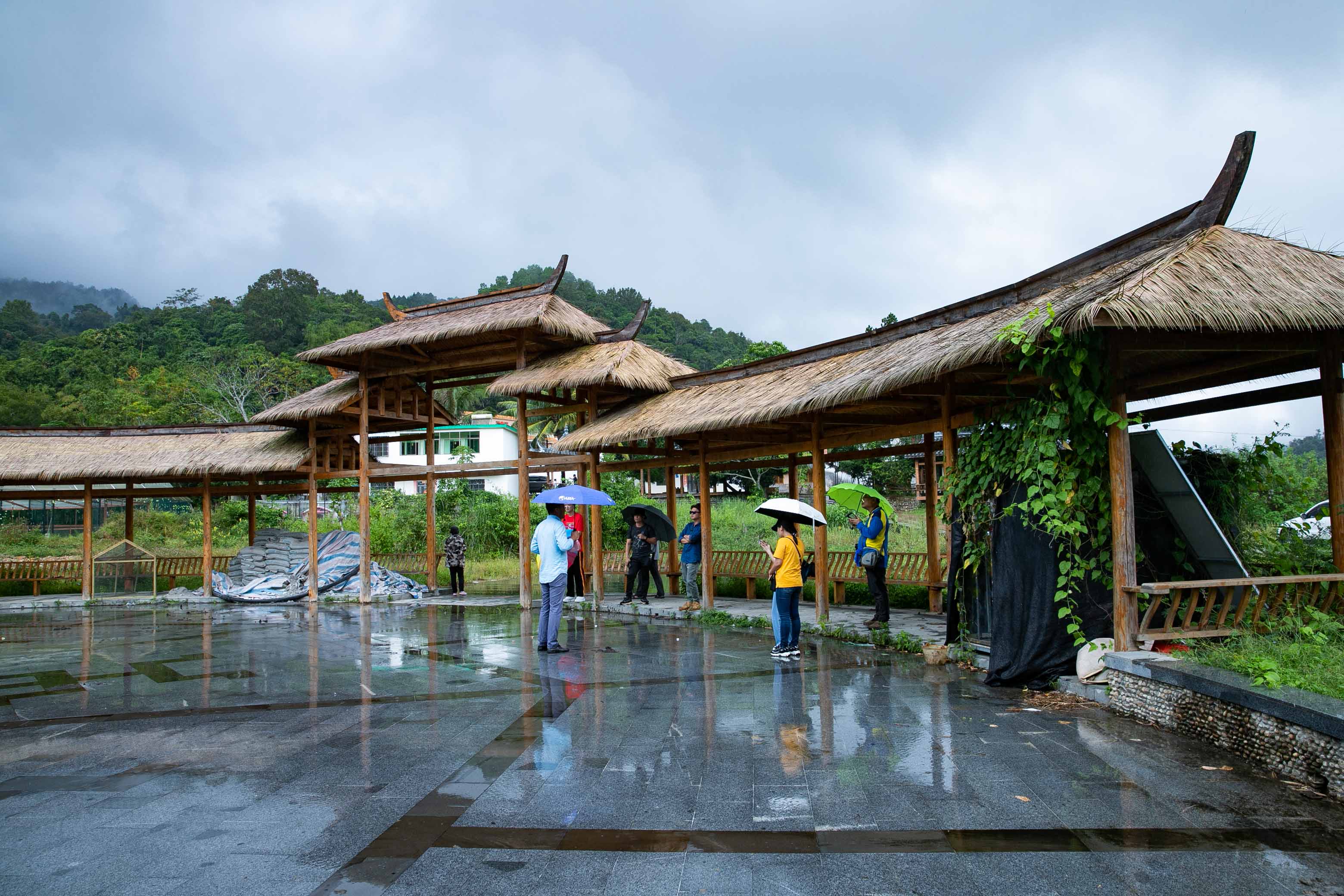 海南五指山毛脑贫困村热带雨林特色孕育的养生休养天堂
