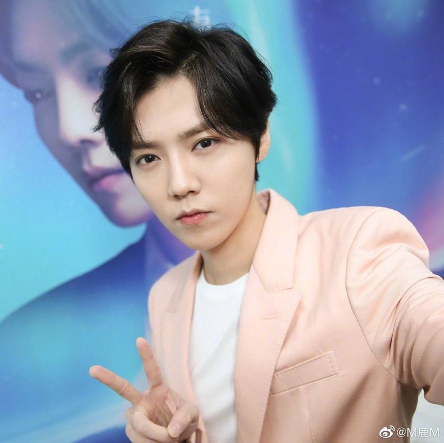 暖心奶狗惹人疼乙木男