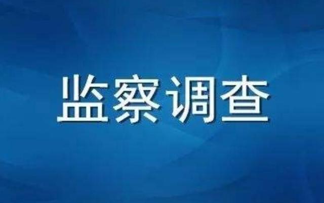 邹城市人民政府党组成员副市长赵洪新接受纪律审查和监察调查