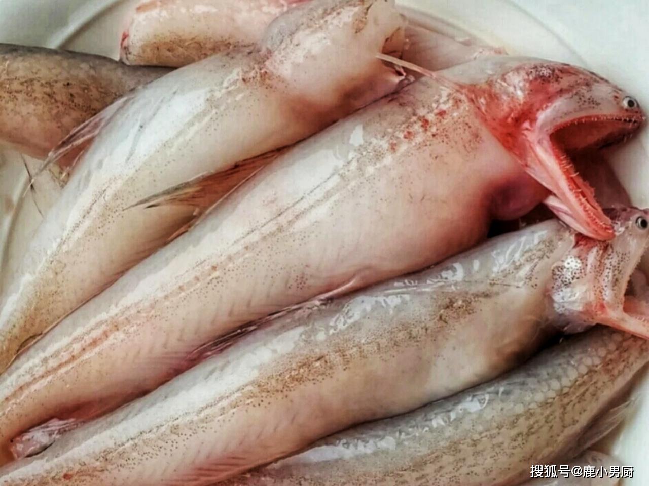 原创此鱼随便清洗就能清蒸,5分钟上桌,口感嫩滑如豆腐,鲜美有营养