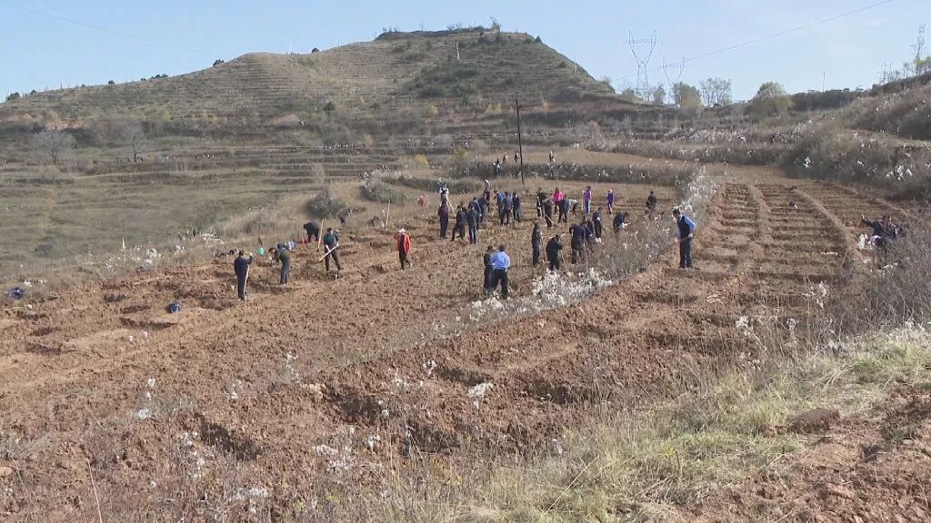 孟小金带队开展秋季植树造林活动