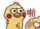 图集第二期:小黄鸡表情包 可爱小鹦鹉表情包 小鹦鹉可爱小表情