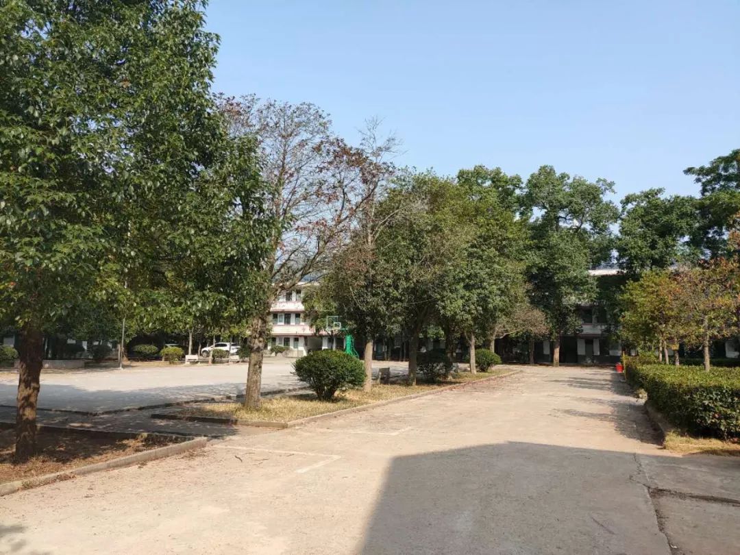 歌唱祖国听武阳中学师生的深情之声