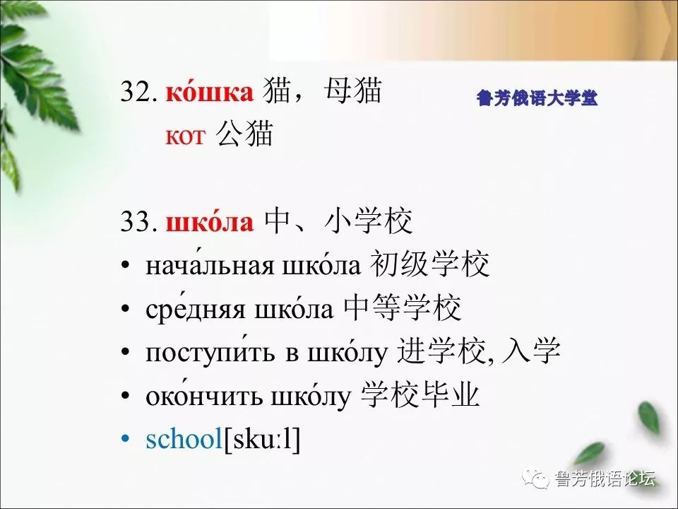 00時直播,白天直播大學俄語第一冊劉博士精講課堂,歡迎俄語零基礎學員