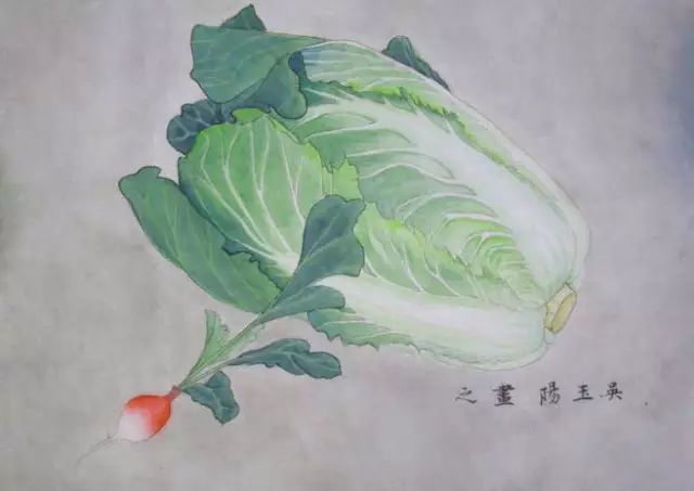 欣赏一组工笔画白菜美不胜收