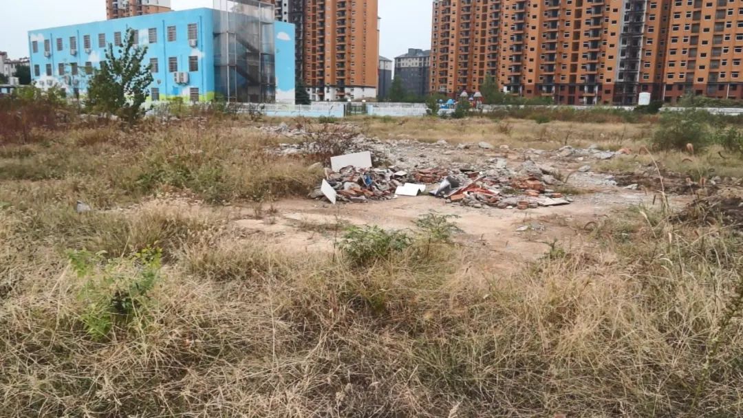 【曝光台】牌坊路北侧一处荒地卫生状况堪忧