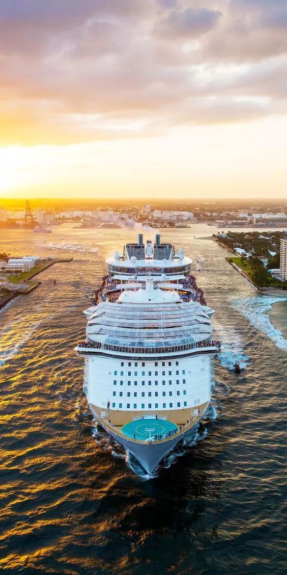 两位老太太的惊天退休计划打死你都想不到大受启发